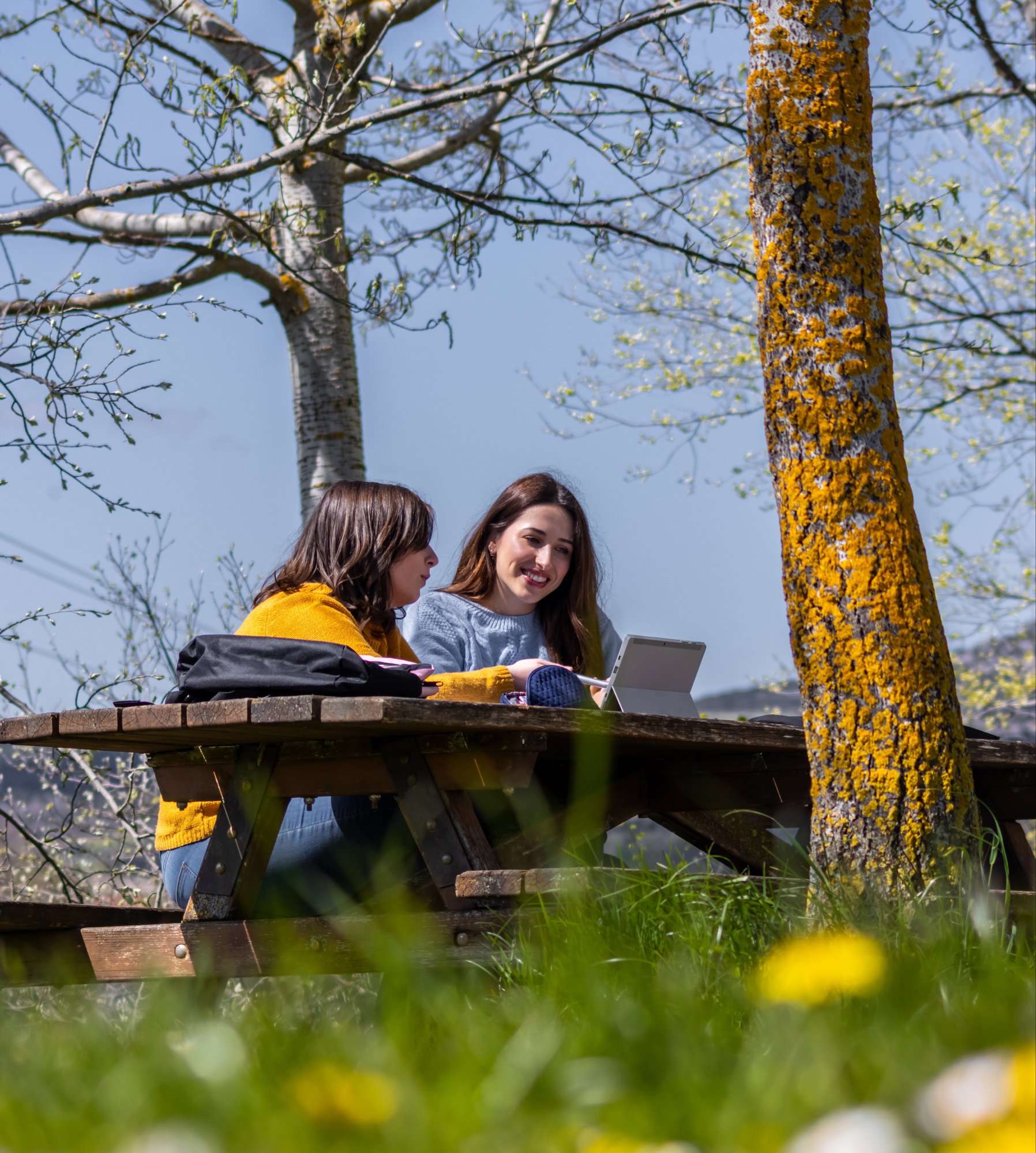 AdobeStock_1677741607-1