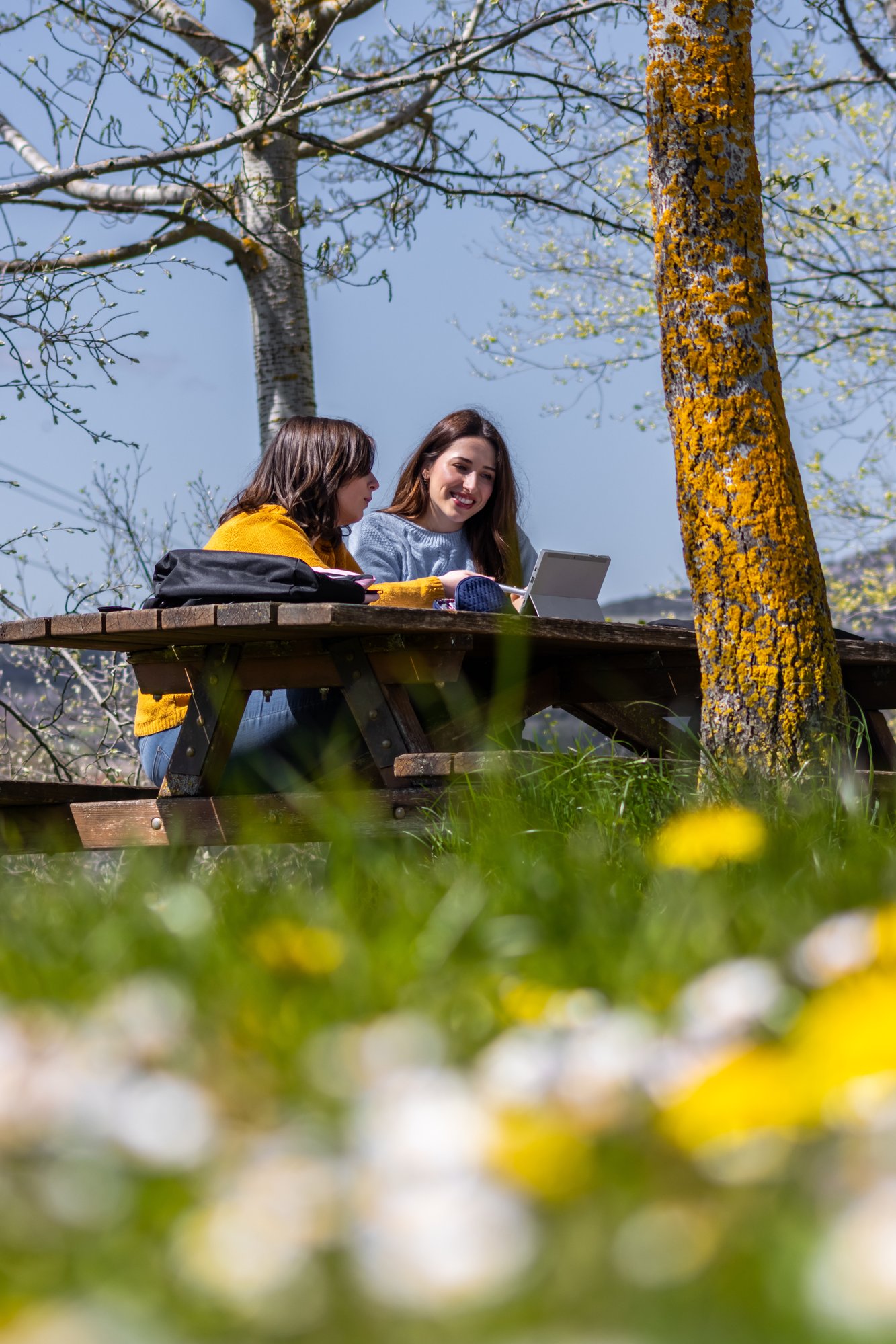 AdobeStock_1677741607